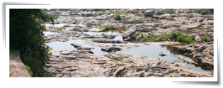 runoff